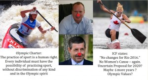 2014 ICF GENDER EQUALITY HEROES